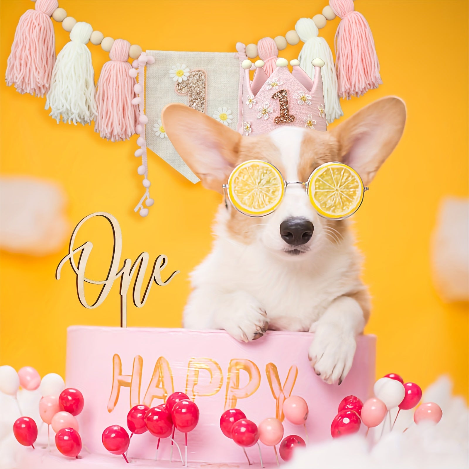 Daisy White Pink Highchair Tassel Garland Banner-All10dollars.com